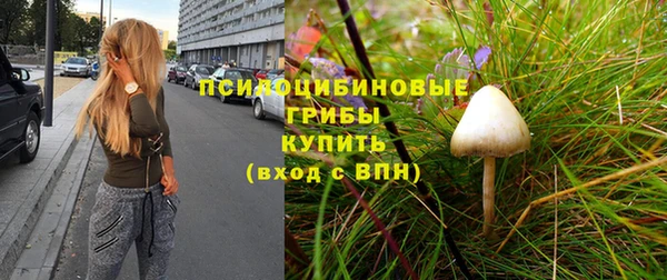 мет Армянск