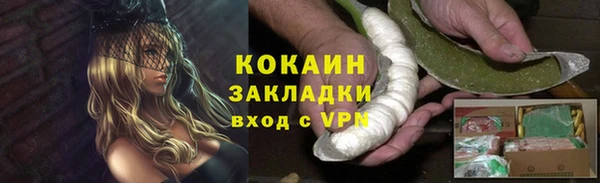дживик Аркадак