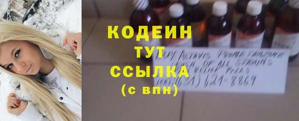 дурь Арсеньев