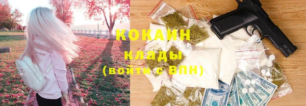 дживик Аркадак