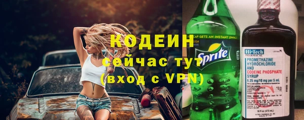 дурь Арсеньев