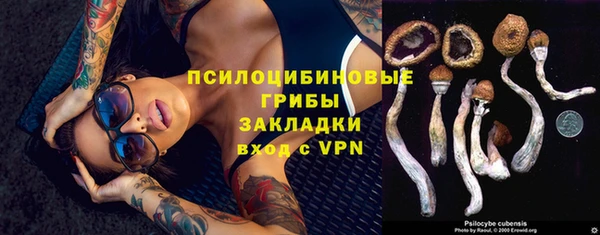 дживик Аркадак